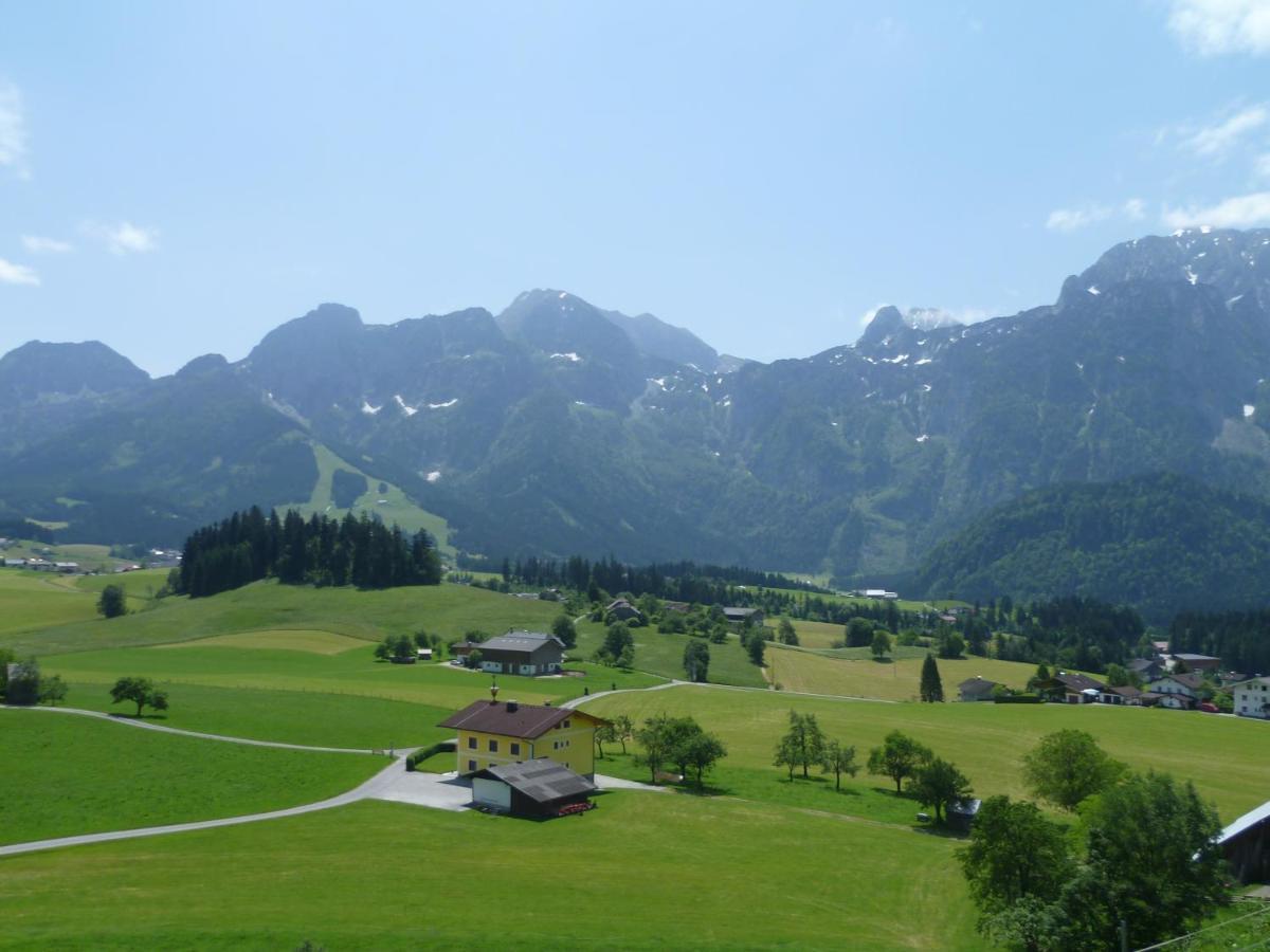 Apartement Obweghof Abtenau, Salzburger Land מראה חיצוני תמונה